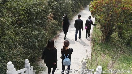 夜读 | 生命中， 那份懂得