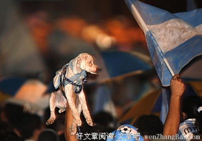 《如果·爱》的观后感10篇