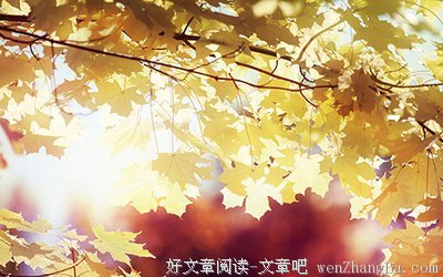 婚外情的意义在于......