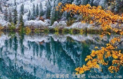 年底了，至辛苦的自己