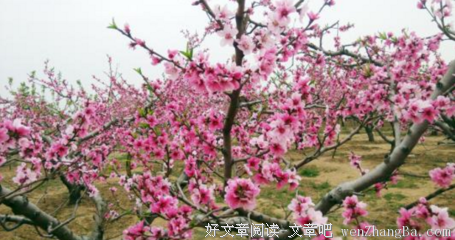 描写许心的语句摘抄