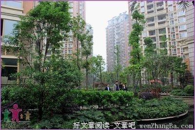 关于米米的名言