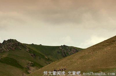 关于辛夷坞的名言