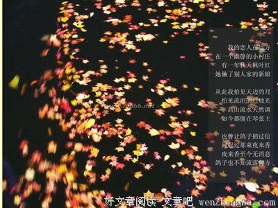 《爱我吧，爱人》名句欣赏