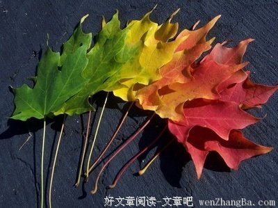 这种姑娘，最难获得幸福