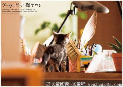 《咕咕是一只猫》观后感精选10篇