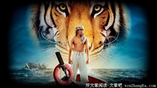 《少年不戴花》经典观后感集