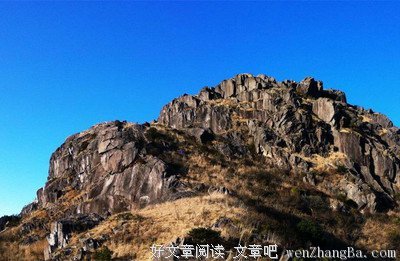 天行者读后感10篇