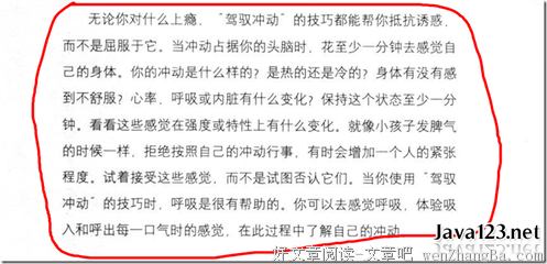 《疯狂的程序员》读后感精选10篇
