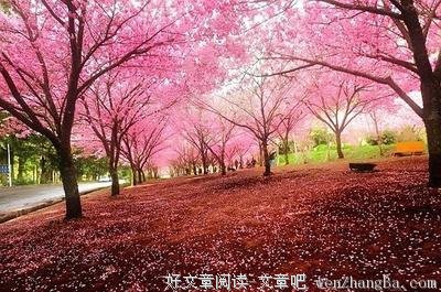 晚上睡不着的时候，看看这个