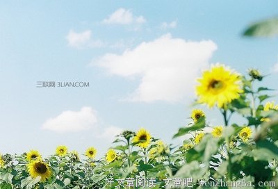 朱元璋格言警句