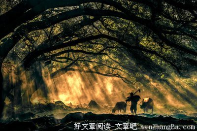 关于顺其自然的格言