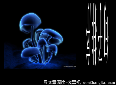 关于月桂的语句
