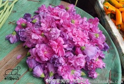 描写宗璞的语句摘抄
