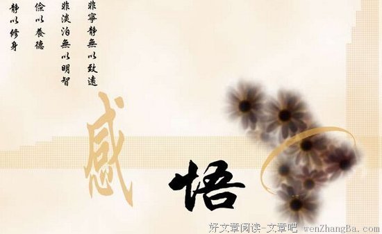 最新的《郊爷，关于我们》经典语句