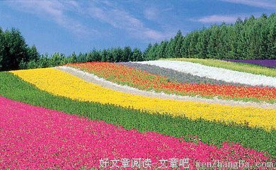 最全的《修道院纪事》经典语录