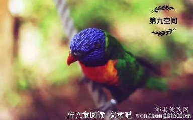 出现这3种征兆，预示家有吉祥事！