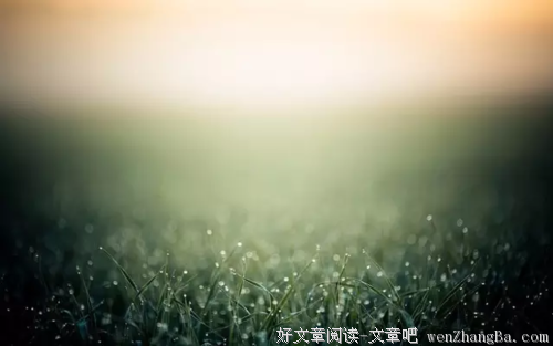 愿有岁月可回首，且以深情共白头