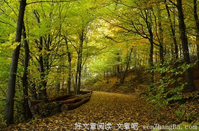 关于罗伯·莱纳名言名句