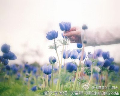 陈旧的名人名言