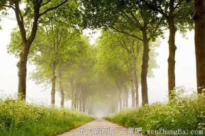 关于为所欲为的语句