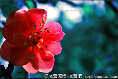 关于富饶的座右铭