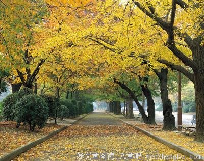 关于新奇名言名句