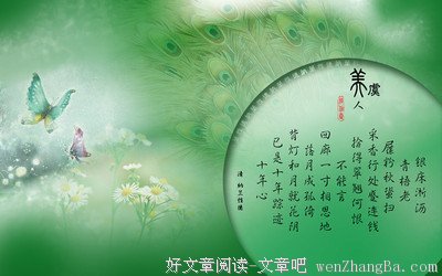 最全的《当时只道是寻常》经典句子