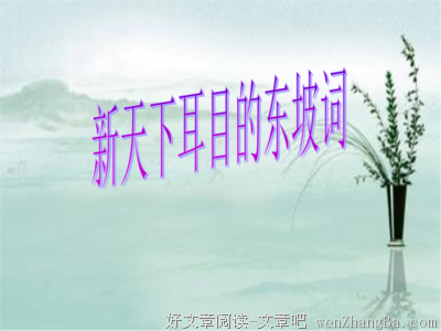 关于苏洵的语句