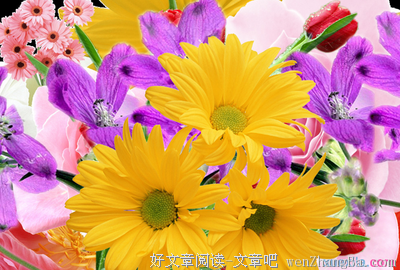 有关害人不浅的美句摘抄