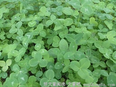 你是谁？你为谁而活？