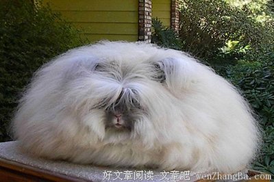 安康的语句摘抄_关于安康的语句