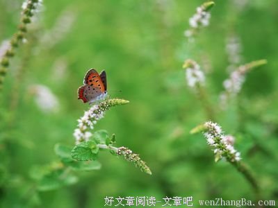 描写死气沉沉的经典句子