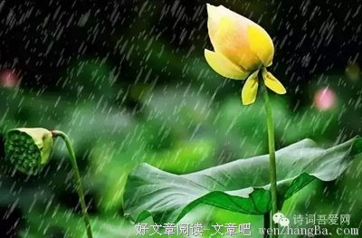 关于胡作非为的语句
