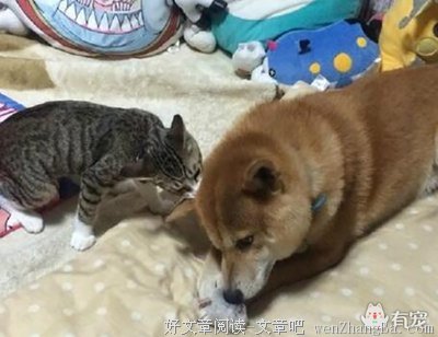2018致自己：不纠缠,不回头,不讨好