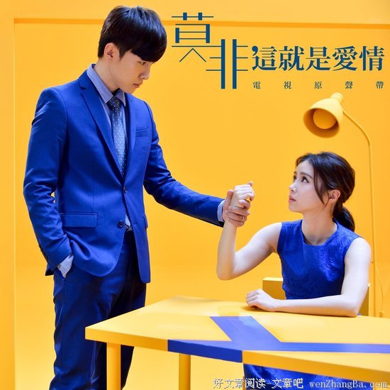 最全的《莫非这就是爱情》经典的句子
