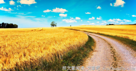 最经典的《麦田里的守望者》好段摘抄大全