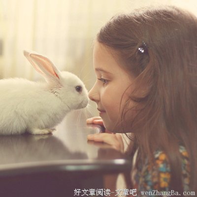 酒千觞的语句摘抄_关于酒千觞的语句