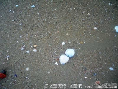 10年前的我，就是一个傻B