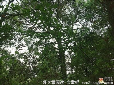 “此刻”千元征文：此刻，我是一个遭遇过背叛的22岁的癌症患者