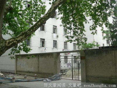 《我爱厨房》经典影评集