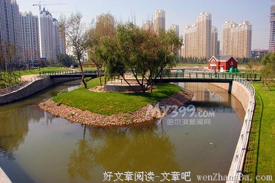 《震荡效应》观后感10篇