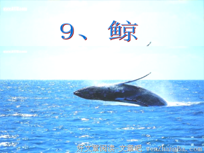 最全的鲍鲸鲸15句经典名言