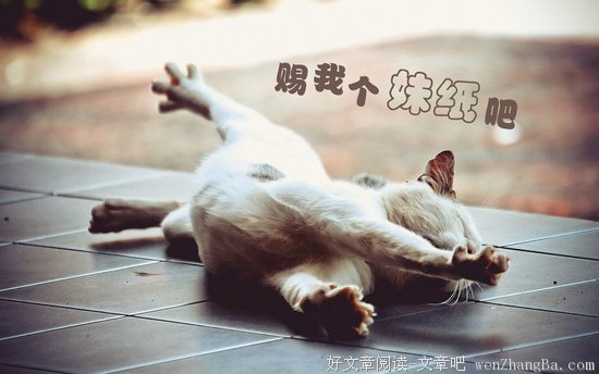 2018，有512个人陪你一起脱单减肥暴富......