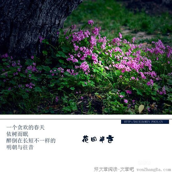 《花田半亩》散文美句大全