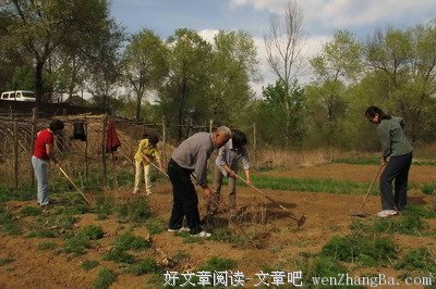 《返璞归真》读后感精选10篇