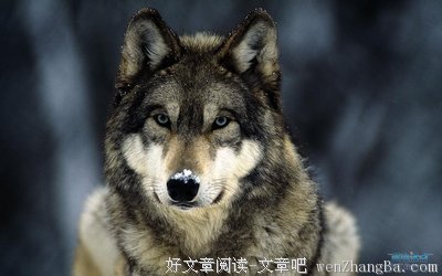 《蓝色天空》好看吗？经典观后感10篇