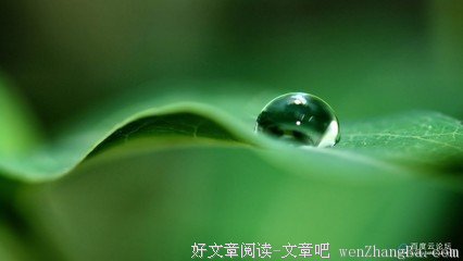 关于张小的唯美语录