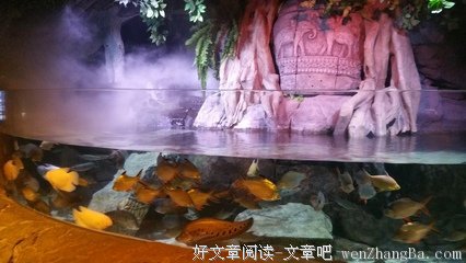 关于龙虎的格言