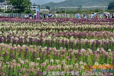 青慕名句欣赏
